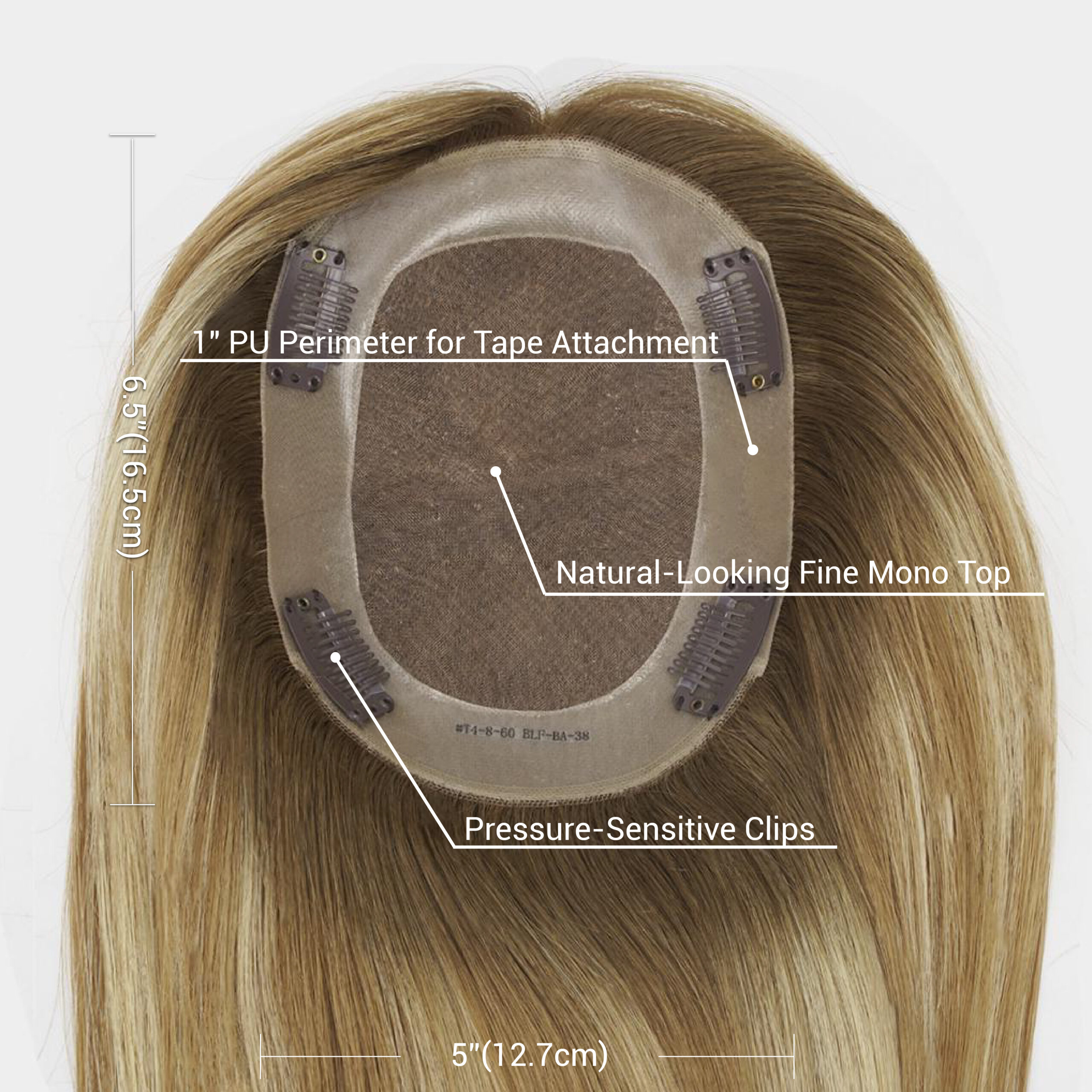 ARIELLE MT5x6.5 Mono Hair Topper for Thinning Hair