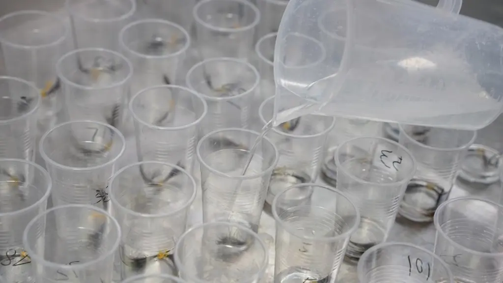 Hair extension samples in labeled testing cups during a standardized color consistency review to help minimize color differences across production batches